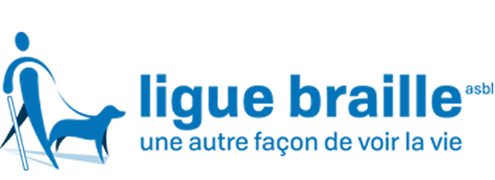 ligue braille logo