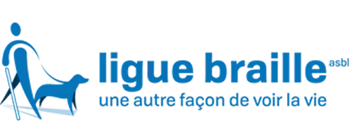 ligue braille logo