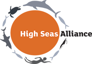 high seas alliance logo